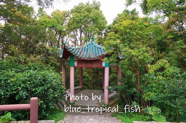 大帽山家樂徑の表示があったので、ちょっぴりハイキングへ。