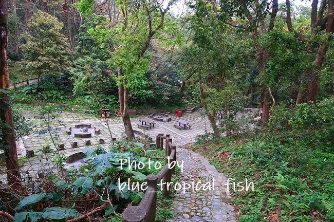 BBQピットが沢山並んでいました。