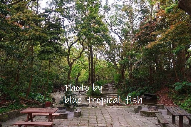 こういうところでBBQするの楽しそうですが、蚊がいっぱいいそうだなぁ。