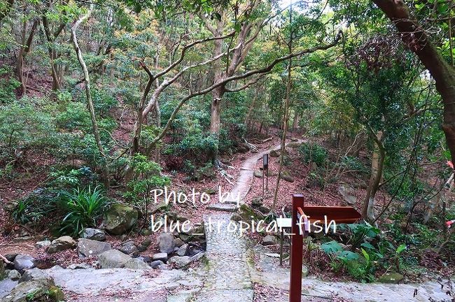 まっすぐ行くと、リアルなハイキングになってしまうので、道を間違えないよう、ここで右折。