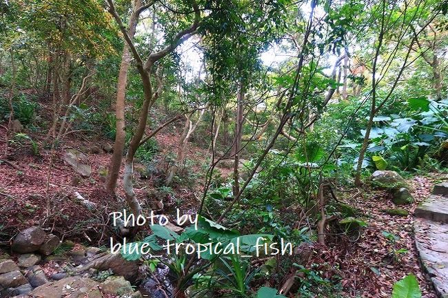 川のせせらぎが聞こえました。