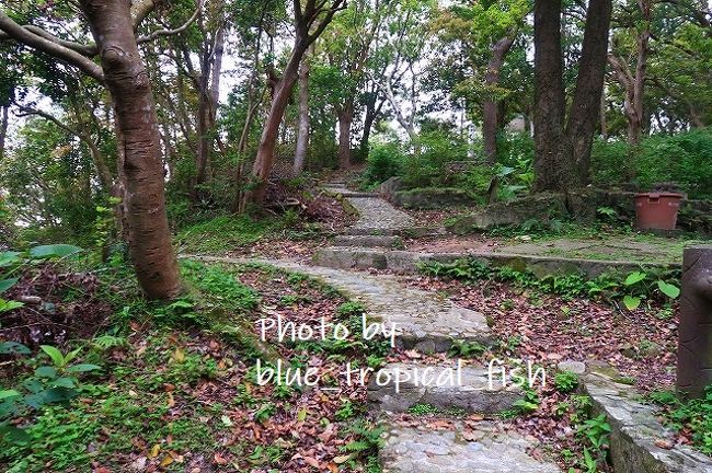 階段は少なめ。歩きやすいです。でも柵がないので、娘は歩かせず、私が娘を抱っこして歩きました。