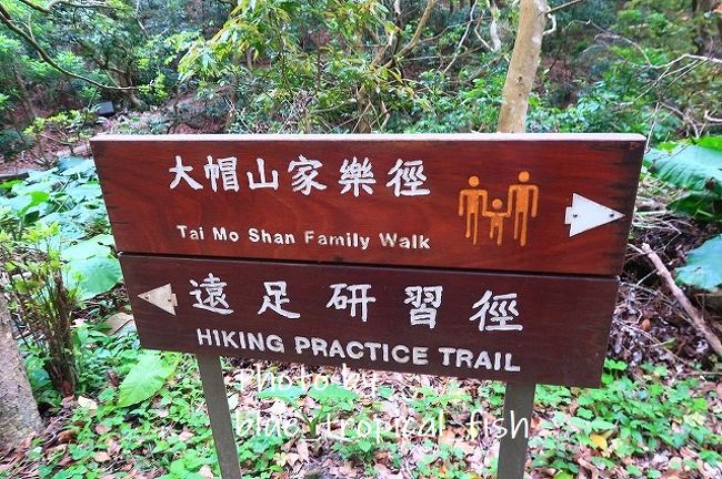 ちゃんと標識が出ているので迷わないです。