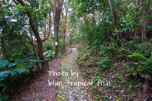 こんな道です。ちょっとしたハイキング気分です。かなり短いルートですが。