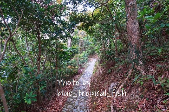 さらに歩いていきます。