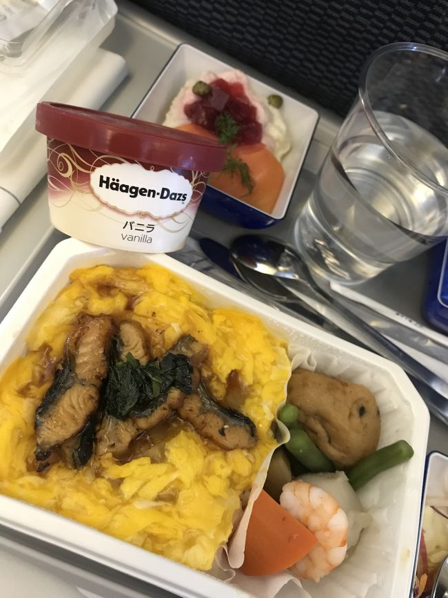 ANA機内食<br />ハーゲンダッツのアイスまでついてて、嬉しい😆