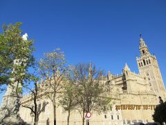 スペイン広場から移動して、セビリア大聖堂とヒラルダの塔に向かいました。