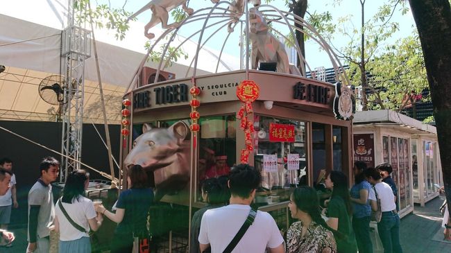 ハードロックカフェへ行って、ピンバッチを買って、マンゴージュース飲まないで我慢していたので、タイガーシュガー(老虎堂)へ。