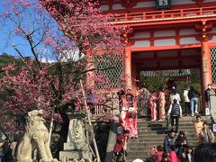 清水寺
桜が満開って情報があったので、立ち寄りました。うん…門の前だけでした。
