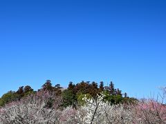 ●偕楽園

そして”東門”から偕楽園へと入場。
「日本三名園」の１つにも数えられる偕楽園は、1842年に水戸藩第９代藩主・徳川斉昭が造園したもので、藩主のみならず家臣や領民も偕（とも）に楽しむ場とするというコンセプトだったのは有名な話。
その伝統のためか、入園料は無料です（最近有料化の話題もでてますが・・・）。