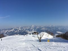 午後も天気は上々