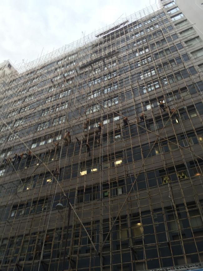 飲茶を食べた後は夕方までフリータイム。お土産を買いに行ったりしてましたが、途中建築現場をみてびっくり！<br />足場が全部竹！香港は暑いから鉄骨の足場だと熱くなり過ぎちゃうためわざわざ竹を使うんだそうです。