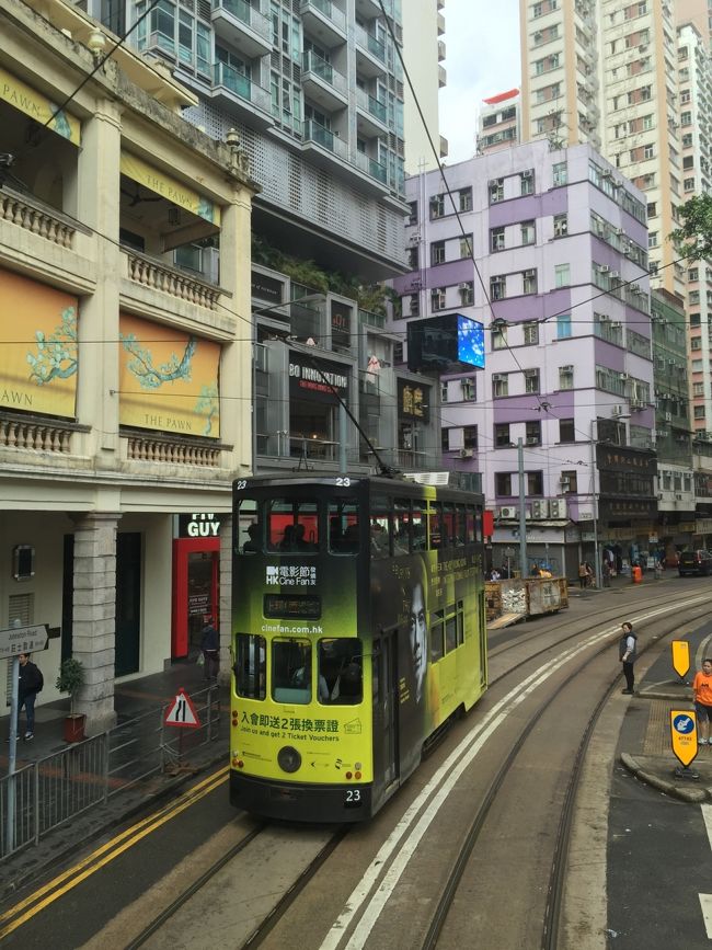 色んな色のトラムが走ってます。