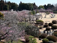 メインの本園がある東側には、梅林と見晴広場が広がっています。