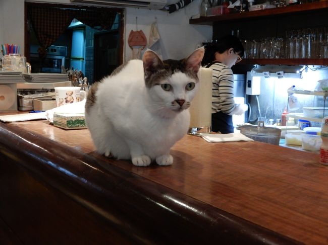 猫カフェ（永康街の先）