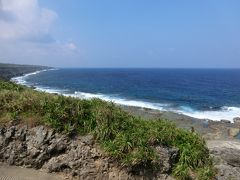 南大東島東海岸植物群落