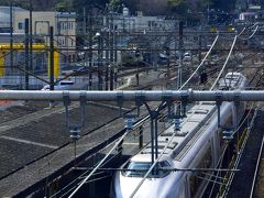 東栢山地区の菜の花畑を後にして、小田急線のローカル列車に乗ってやって来ましたのは遠く小田原城を眺める小田原駅