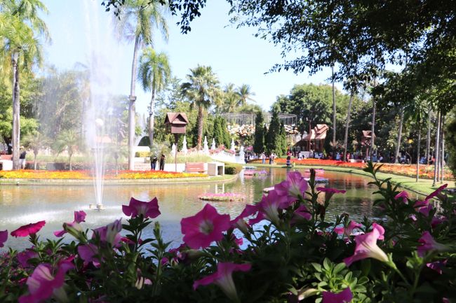 公園内も花いっぱい