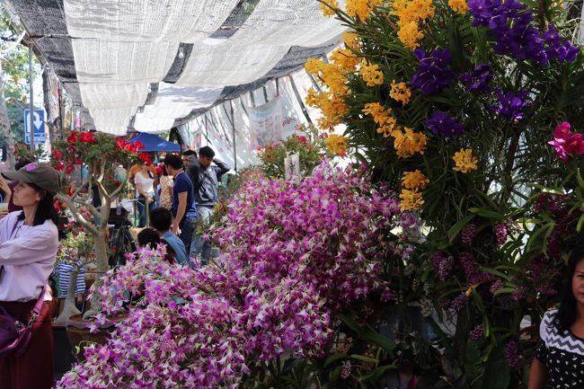 盆栽風もあります