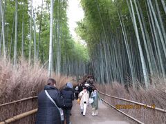 野宮神社を出て歩くと
約200メートルにわたって続く風情のある小道、
嵯峨野・竹林の道です。