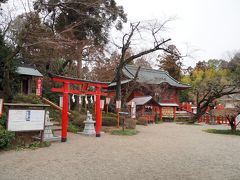 ここは、栃木県ではなく群馬県太田市にある世良田東照宮。手前の赤い鳥居は稲荷神社のもの。