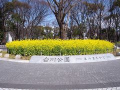 あーお腹が苦しい。

白川公園で一休みして大須方面へ。