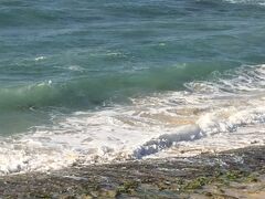 続いてノースショアの海岸まで走ります。
ラニアケアビーチです。
この付近は海見渋滞が激しく車が全く進みません。
ハイレワからカアアワまでずっとノロノロ運転でした。

ここでは荒波にもまれるウミガメがみれました。
