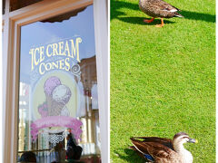 アイスクリームコーン♪
後で食べるんだぁ～(*･ω･)人(･ω･*)ﾈｰ 