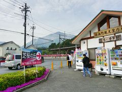 横瀬町観光案内所
植え込みにも芝桜が植えてあって、芝桜の丘への案内板も出ているので分かり易かったです。