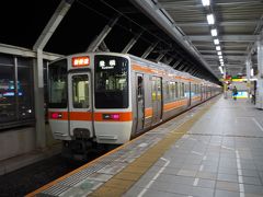 2018年度の仕事納めのあと、岐阜駅へやってきました。
今回は鉄分高めなので（いつも鉄分高めっていうツッコミは気にしない）、記録も兼ねて乗車列車の列車番号や発車時刻なども記載してみましょう。

東海道本線2372F 2120岐阜駅着