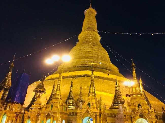 夜もまたいいねー