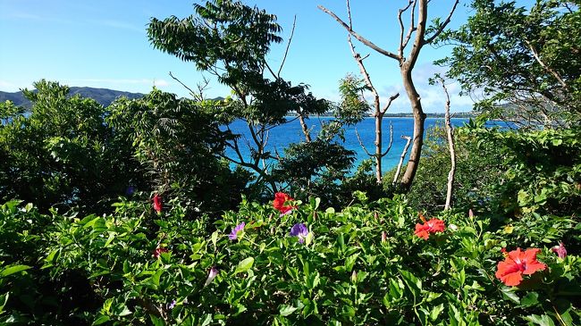 レストランからの景色