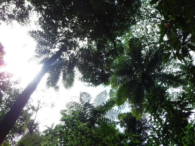 ガイドブックでよく見る景色です！