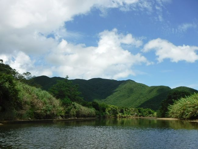 カヤックの場所に着きました。緑が綺麗ですね～