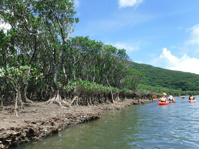1人乗りか2人乗りが選べます。