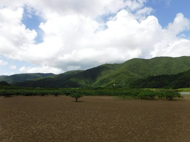 潮が引いているので、こんな景色です