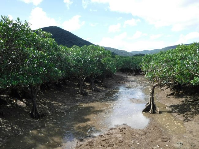 ここにもカヤックではなく、歩いて中に入りました。