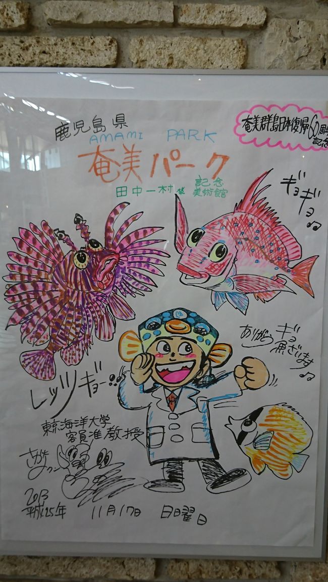 ラフォレントさんから歩いて奄美パークへいこうと思ったけど、暑いし荷物あるから、バス停に戻り、バスで奄美パークへ行きました。