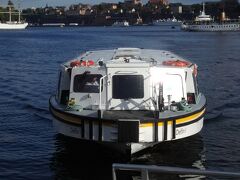 ストックホルム運河クルーズ（ロイヤルカナルツアー）の船です。
乗り物酔いの方、たなまるは1時間全く問題なく乗れました。