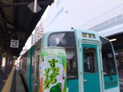 　その後は駅前でお土産を買って、ひたすら鈍行乗り継いで帰宅しました。

13:05　徳島
15:25/15:40　高松
16:32/16:44　岡山
17:49/18:00　相生
21:12:21:16　長浜
21:52/21:57　敦賀
22:57　福井 