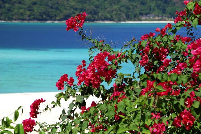 ☆Bougainvillea  View , Mountain Resort @ Koh Lipe Thai