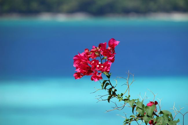 ☆Bougainvillea  View , Mountain Resort @ Koh Lipe Thai