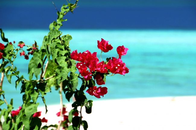 ☆Bougainvillea  View , Mountain Resort @ Koh Lipe Thai