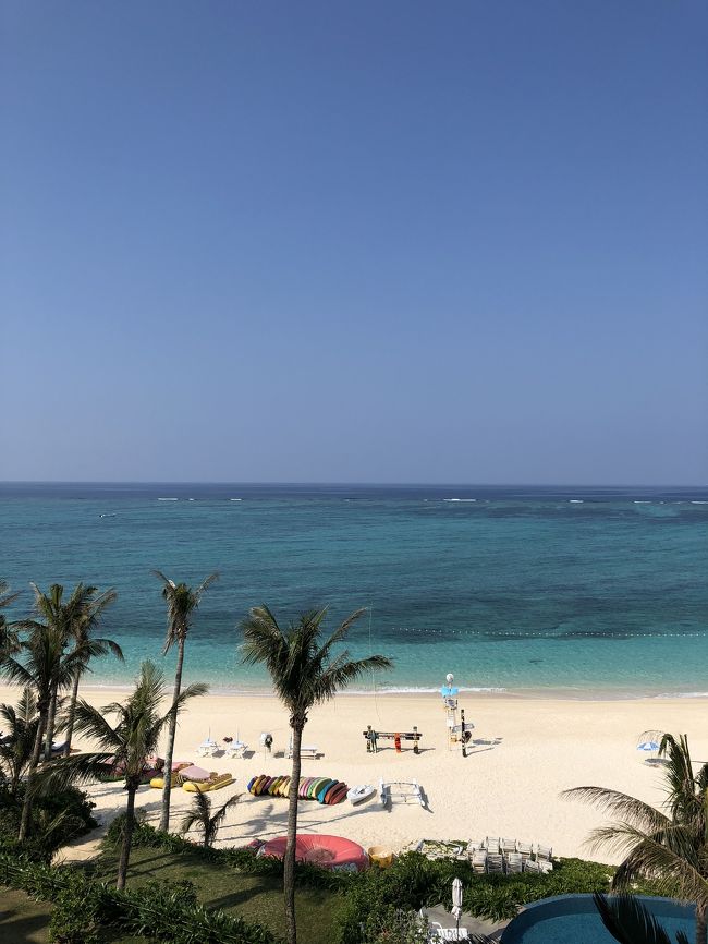 幸せにひたります☆*:.｡. o(≧▽≦)o .｡.:*☆