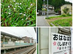 羊山公園から下りてきて、西武秩父駅経由で御花畑駅に向かいました。

次は２年連続で、足利フラワーパークに行ってみます。



