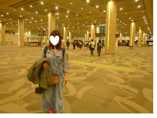 思ってたよりも短かった７時間半<br />デンパサール（ングラ・ライ）空港に到着<br />人が少ないせいか無駄に広い<br /><br />税関申告書の書き方でもたつくも（機内ではもらえません）<br />そばにいた女性がとても親切に教えてくれました<br />感じの良い方だったなぁ<br />ありがとうございます