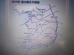 3月14日に和寒に戻った後は、暫く写真整理や次回の訪韓に向けての情報収集などをして過ごします。

平成最後の韓国の桜（まあ、元号は韓国には関係ないだろうけど…）も拝もうと、一応、韓半島における桜前線も確認しておきましょうね。訪韓時期に観られると良いなぁ～(;'∀')。