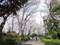 公園の入口あたり。
既に花見客が集まってきています。