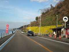 16:55　閏住の菜の花畑＠夕やけこやけライン（国道378号）