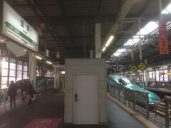 盛岡駅に到着しました。

左側に集まってる人たちは「はやぶさ・こまち46号」の併合作業を見てます。恥ずかしがり屋の私は遠目から控え目に観察しました。